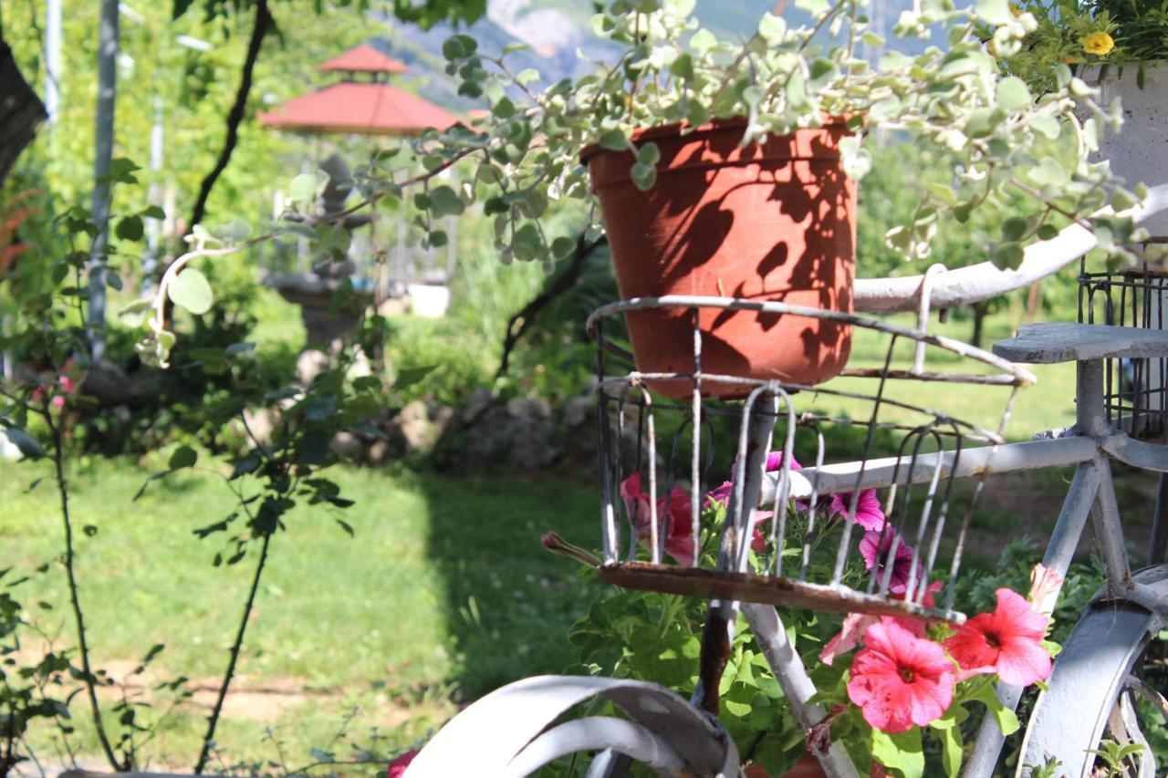 Casa Botanica Villa บลากาย ภายนอก รูปภาพ